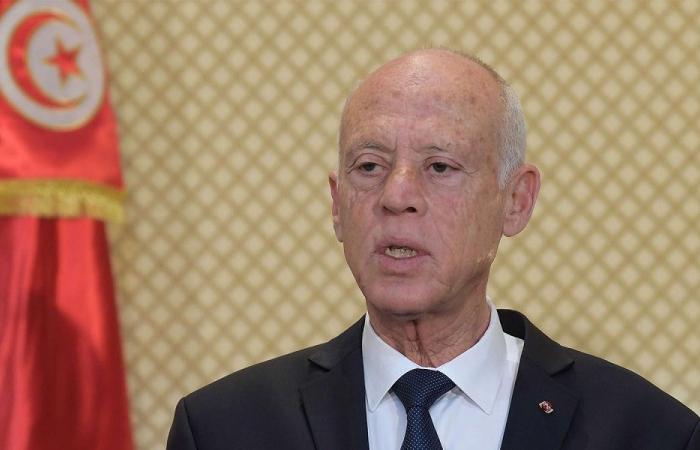 سعيّد: ما يشاع بالإعلام أكاذيب هدفها الإساءة لتونس