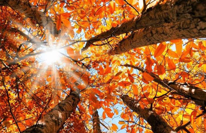 “أيلول طرفو بالشتي مبلول”.. استعدوا للأمطار!