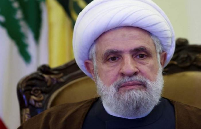 عريضة سياسية ونيابية لمقاضاة نعيم قاسم!