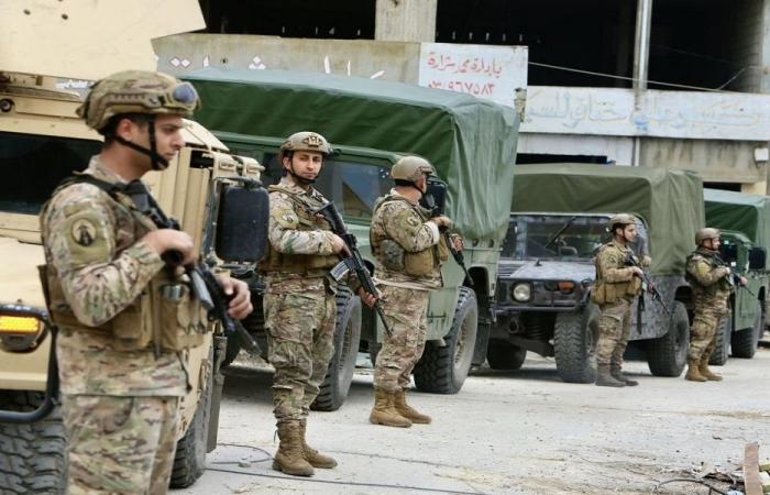 في البقاع.. الجيش يضبط ذخائر حربية ورمانات يدوية