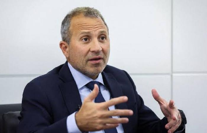 باسيل: سنعمل كل ما يلزم لنحافظ على حقوق المنتشرين