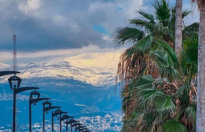 الحرارة إلى انخفاض.. وأمطار!