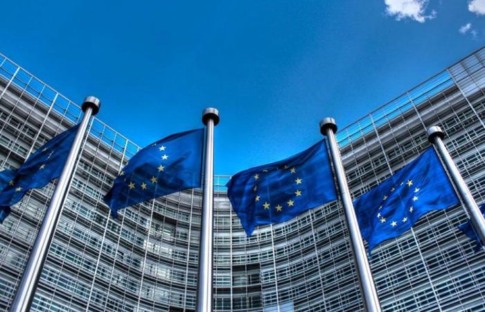 المجلس الأوروبي: نرحب بقرار لبنان حظر أنشطة “الحزب”