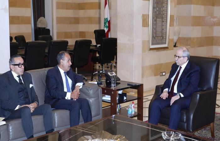 عبد العاطي: نقف إلى جانب لبنان سياسيًا وإنسانيًا