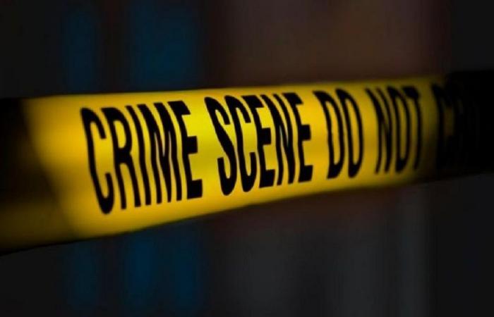 مقتل شاب في حادث صدم على أوتوستراد الفيدار