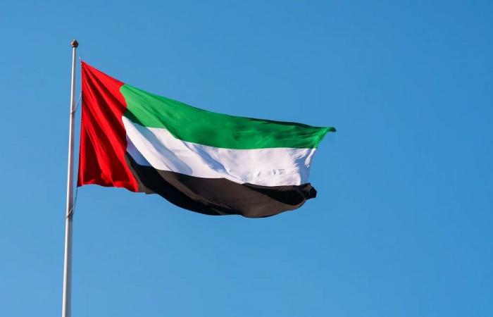 الإمارات: المسيّرات التي استهدفت البلاد انطلقت من العراق