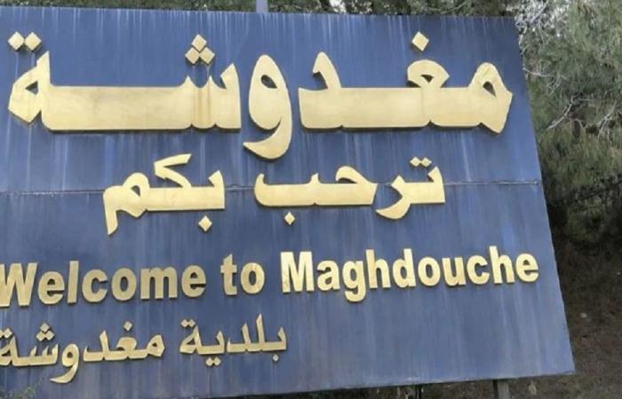 الجيش يوقف عدداً من المتورطين في إشكال مغدوشة