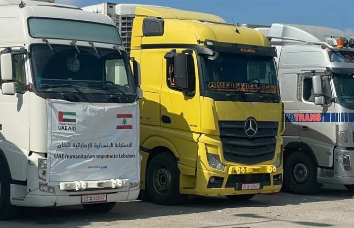 وصول أول دفعة من المساعدات الإماراتية إلى لبنان