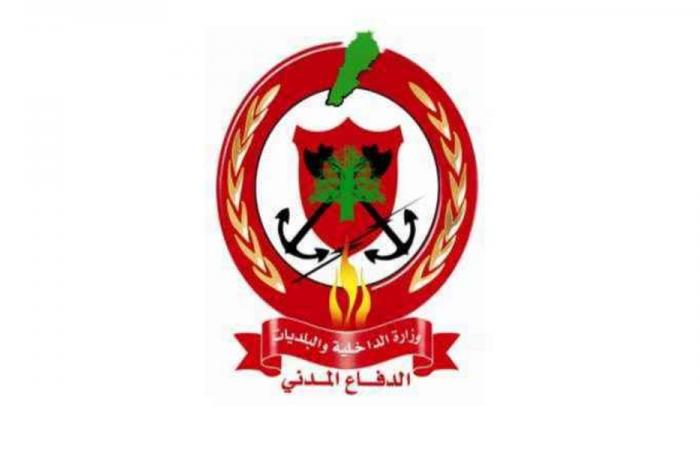 الدفاع المدني: ضحية بانفجار في ميفدون