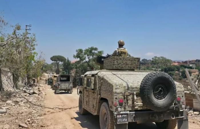الجيش يوقف 49 شخصا بينهم 41 سوريا في عمليات أمنية