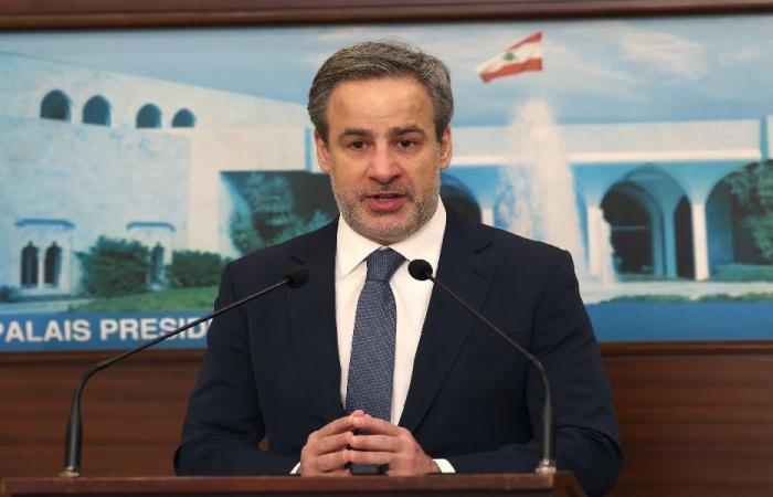 معوّض: حقّ اللبناني بالصحة والحياة لا يحدّده مكان ولادته