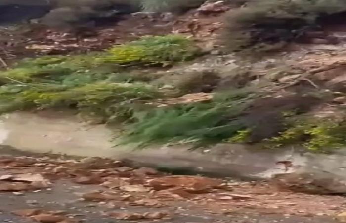 انهيار جزء من جبل محاذي لطريق في الكورة