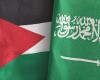 الصفدي وبن فرحان يبحثان تطورات المنطقة